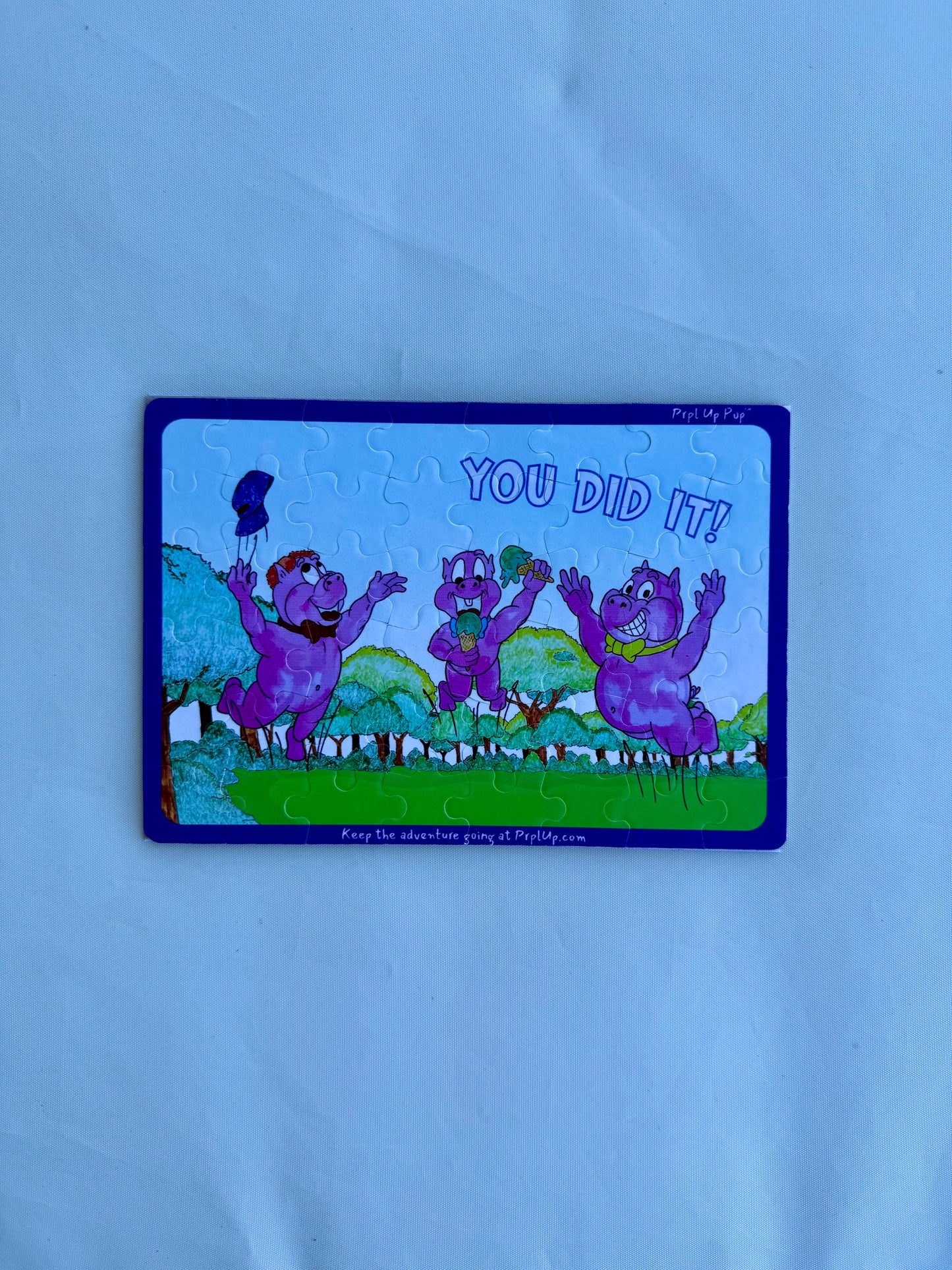 You Did It Puzzles - 12 & 48 Pieces