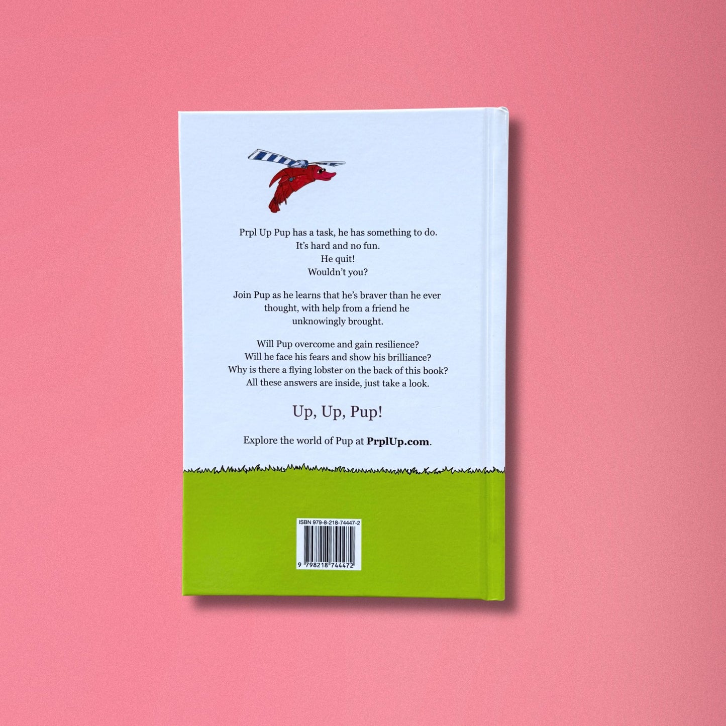 Back cover of a book with text and a barcode on a pink background