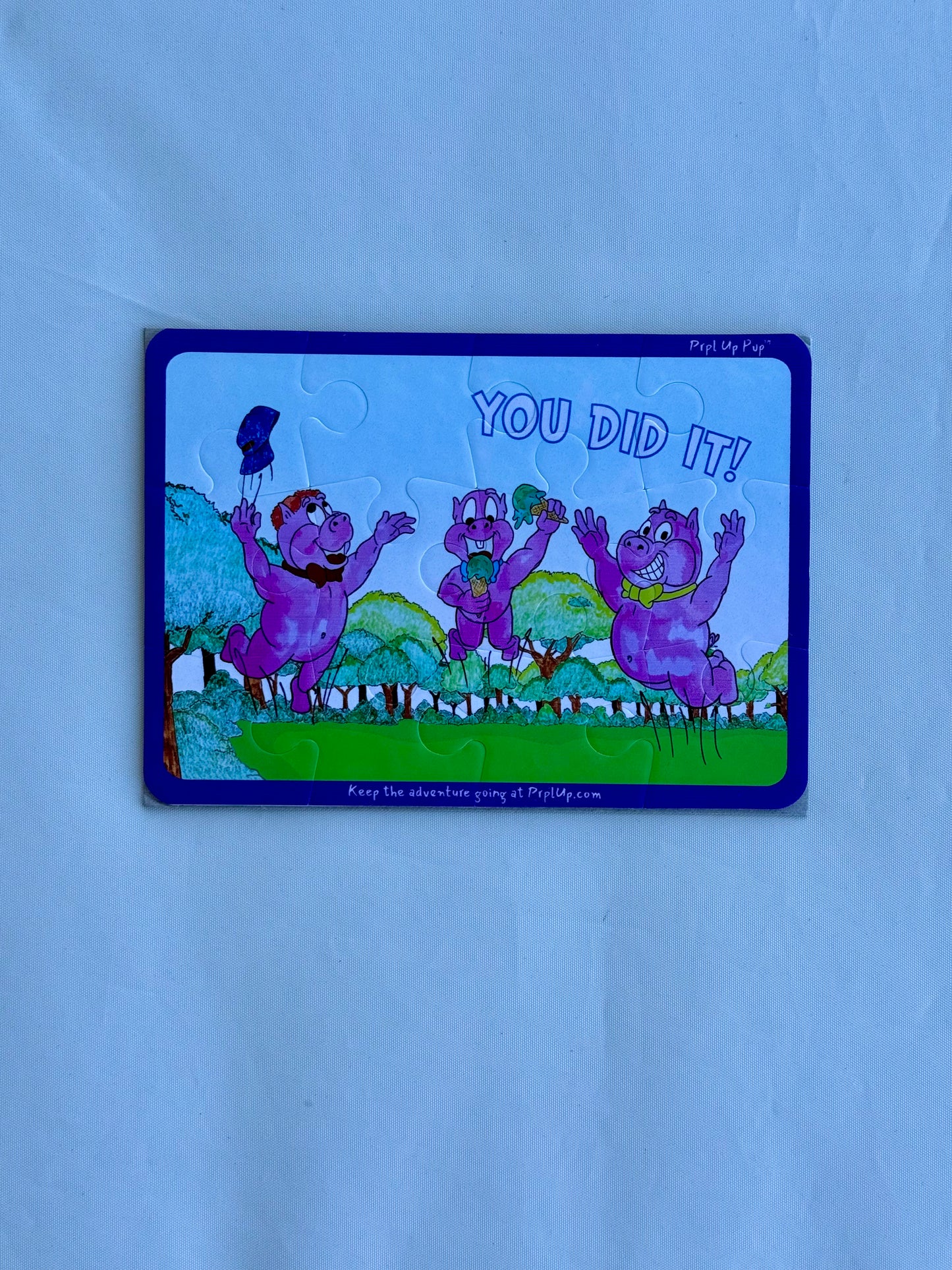 You Did It Puzzles - 12 & 48 Pieces
